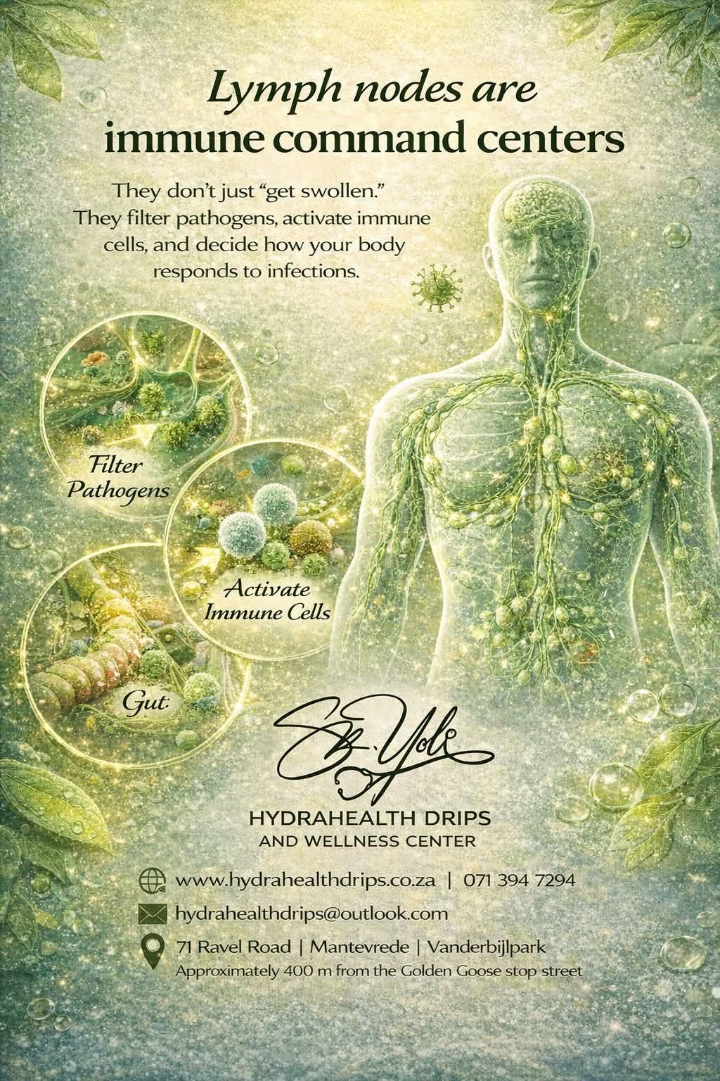 Lymphatic Therapy